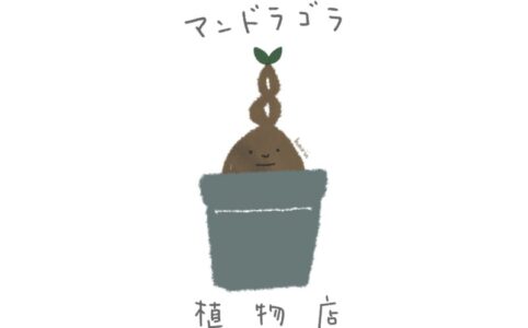 マンドラゴラ植物店